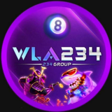 wla234-c.com LOGO